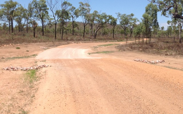 NAT0559 - TFTA Road & Civil Works